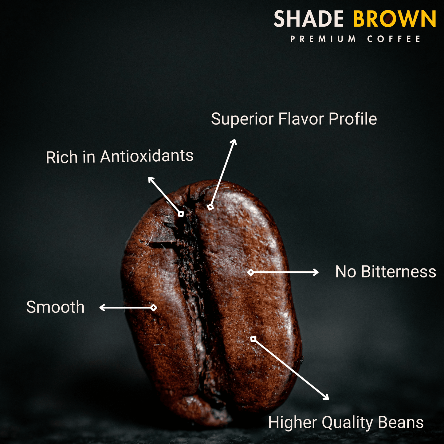 Shade Brown Freeze-Dried Instant Coffee - 100% Arabica, 50g | Gourmet Quality | Rich & Bright Flavor